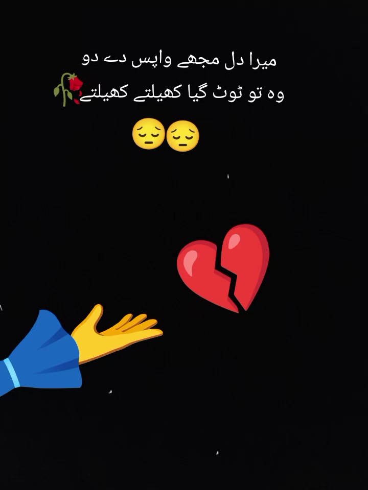 @Insha