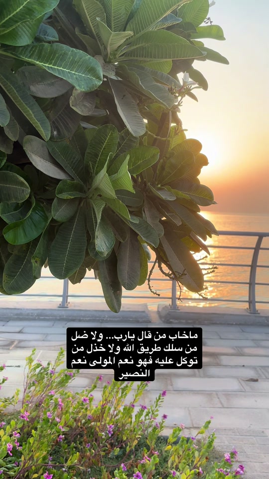 @﮼هديل﮼الخبر 🇸🇦🕊️📸