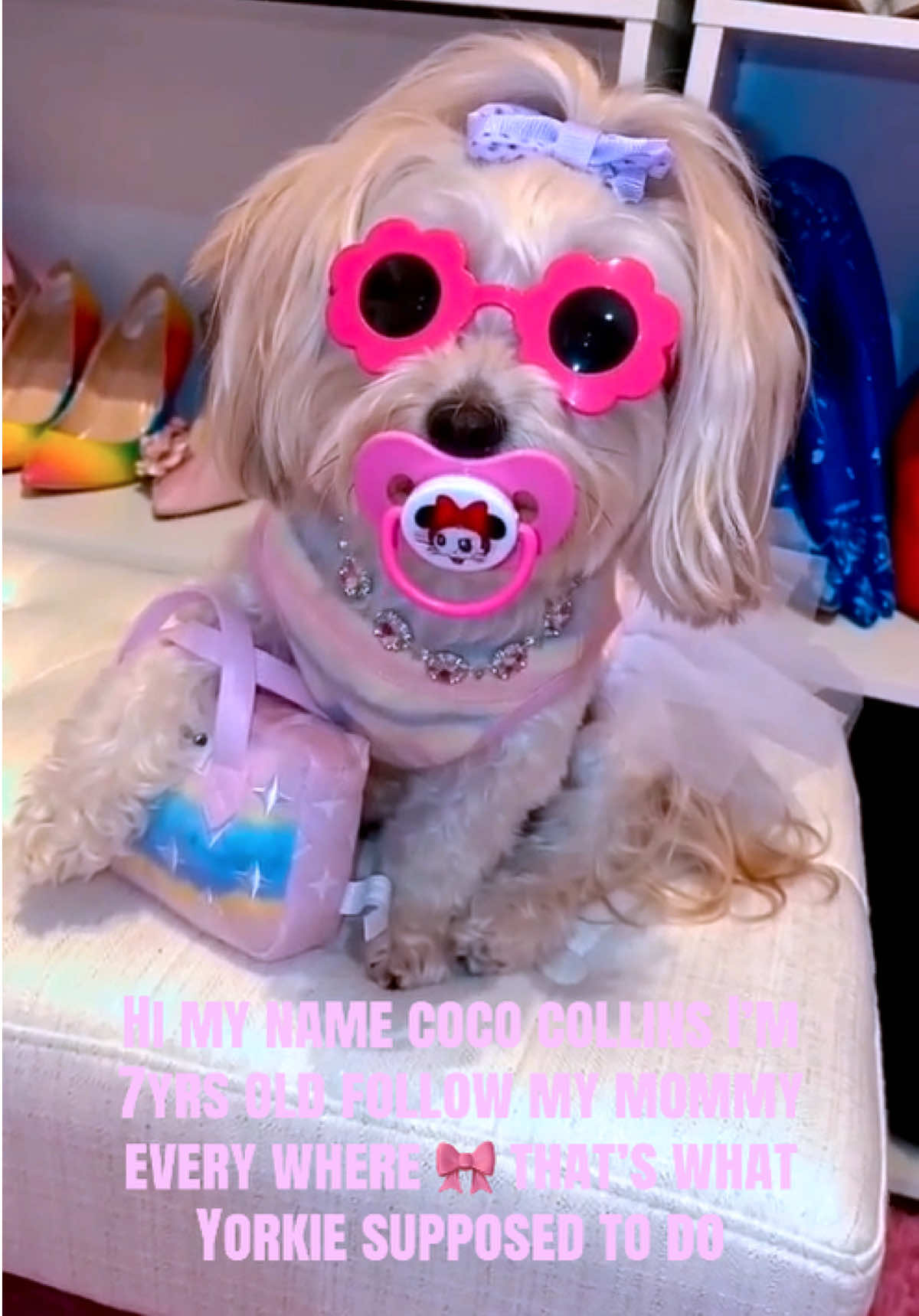 @🎀Mommy Loves Coco🎀