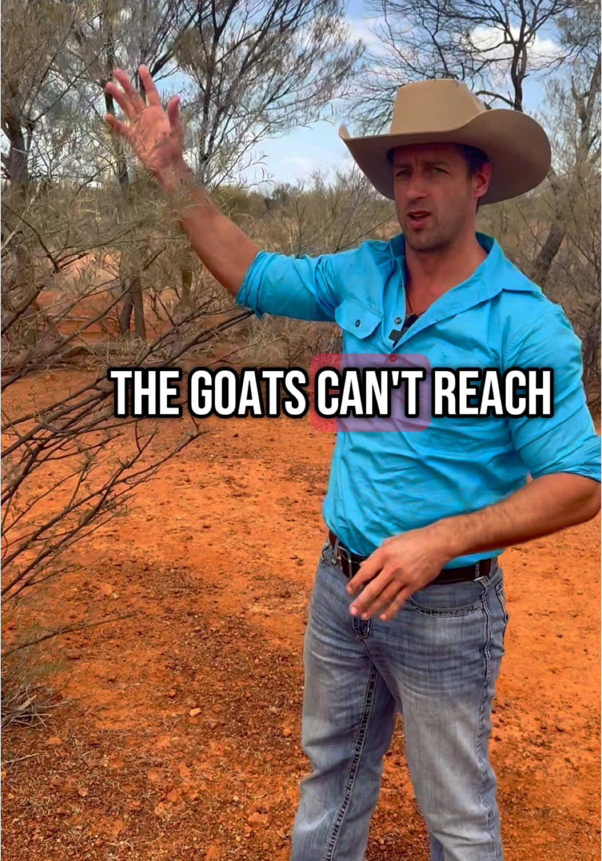 @carbon_wrangler
