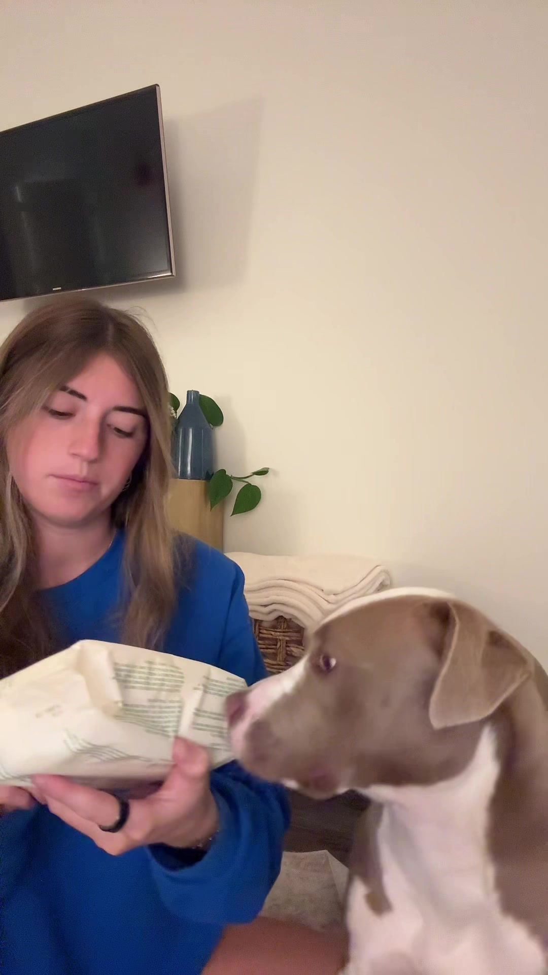 @Millie The Pitty