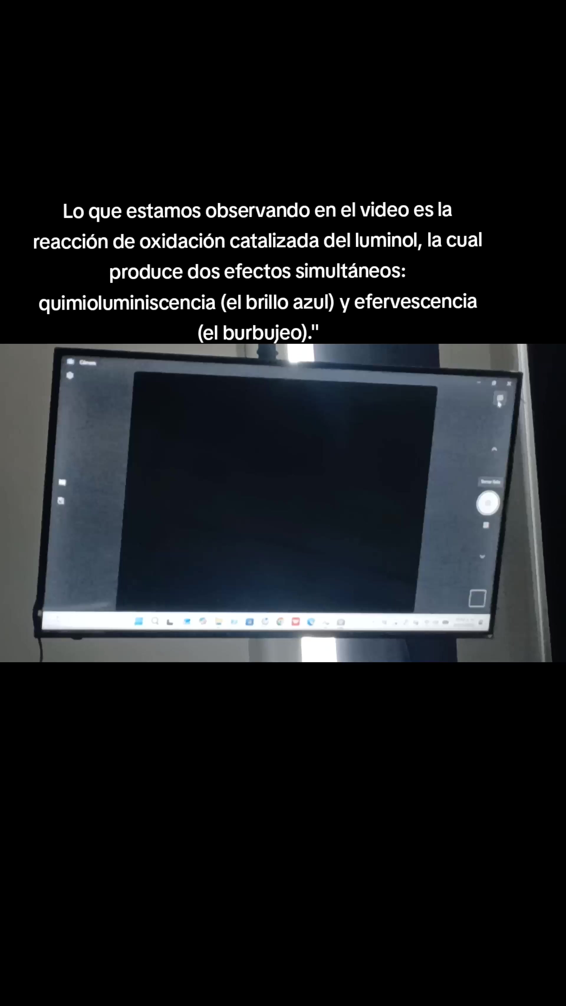 @Laurita Sandoval Mar