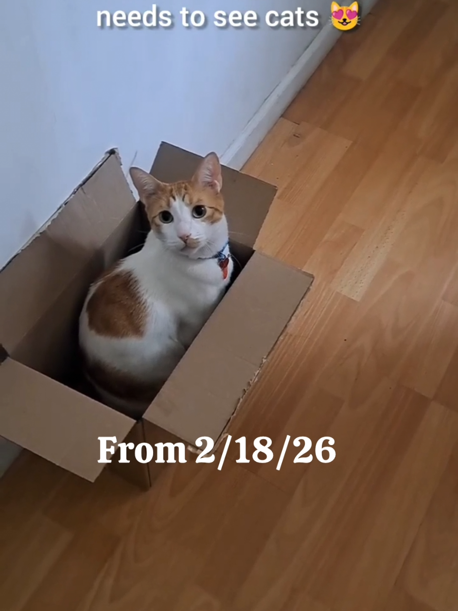@Candice & Weasley