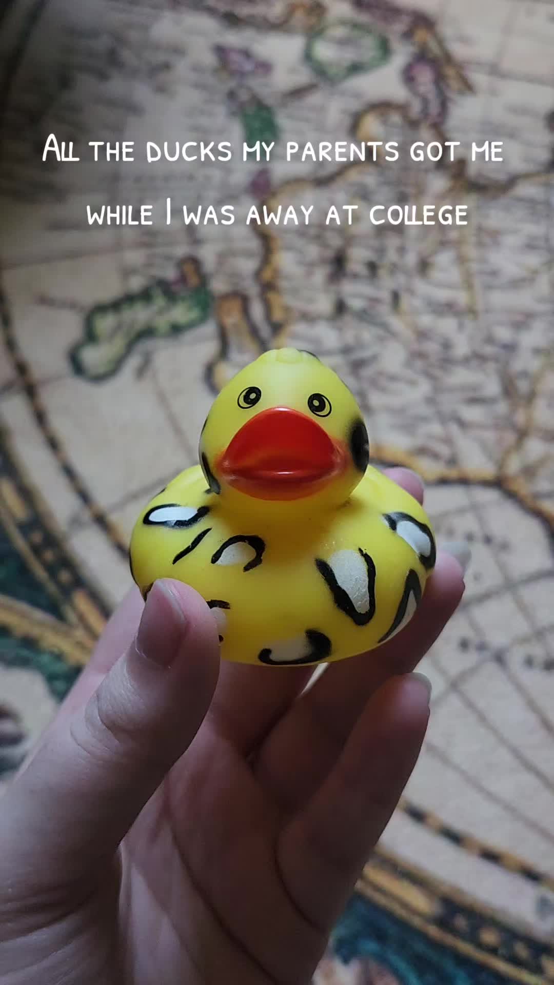 @Lord of the Ducks