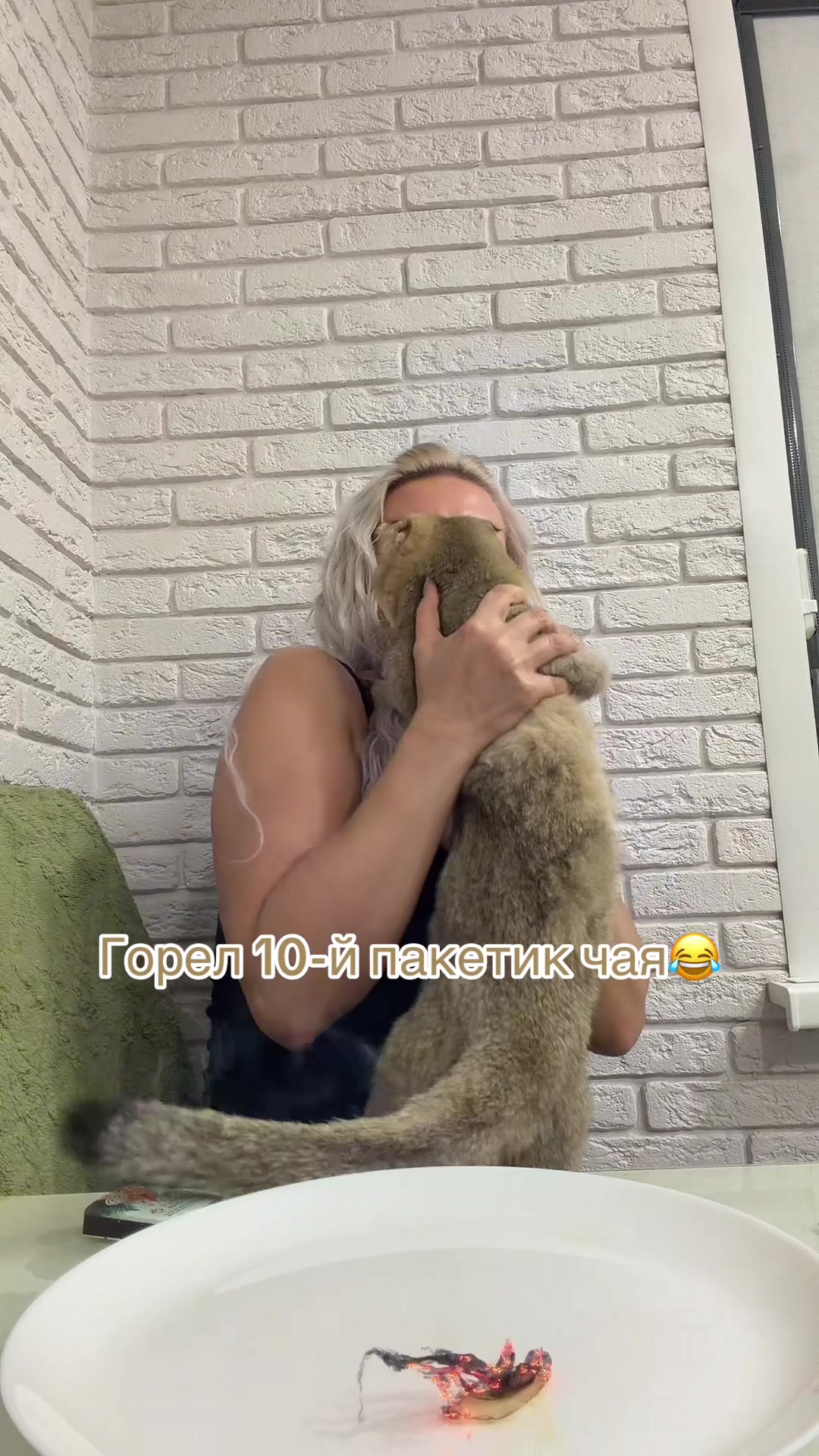 @Cat&Kittens