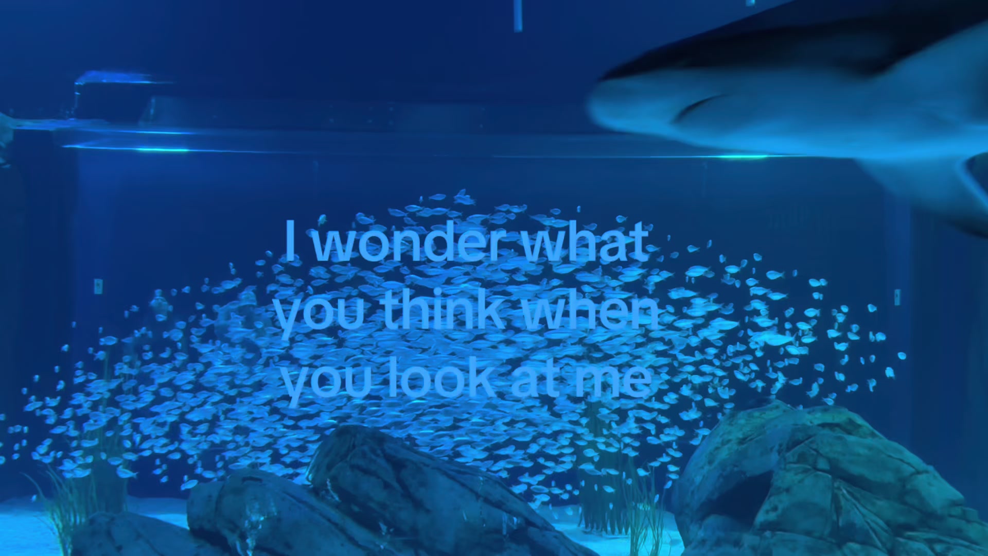 @lovers0ne