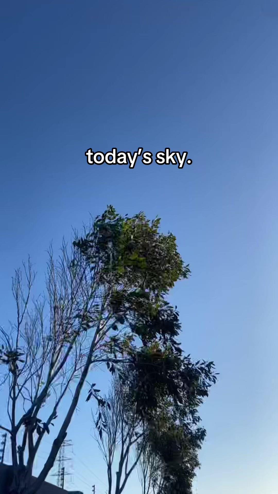 @KASHCPT