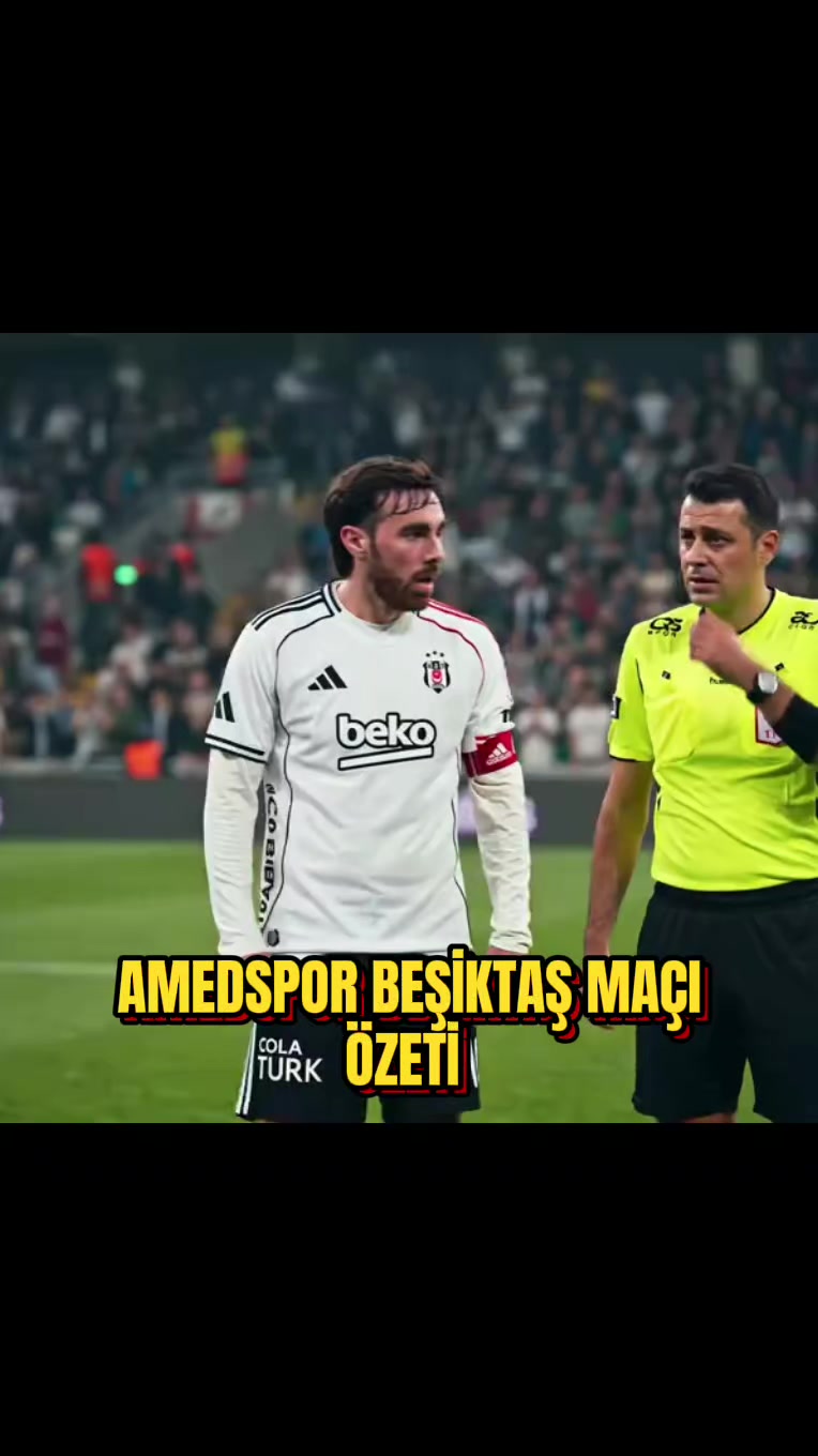 @AMED TRANSFER