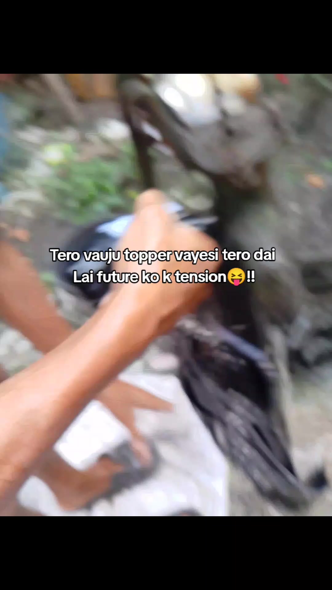 @Basu muxii 👀