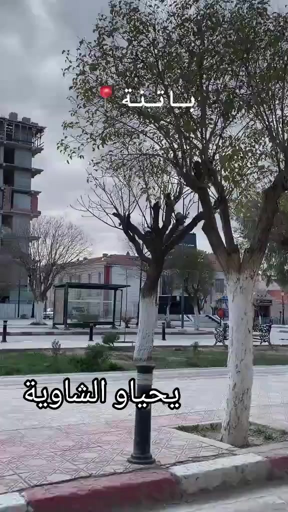 @Abeer 💙