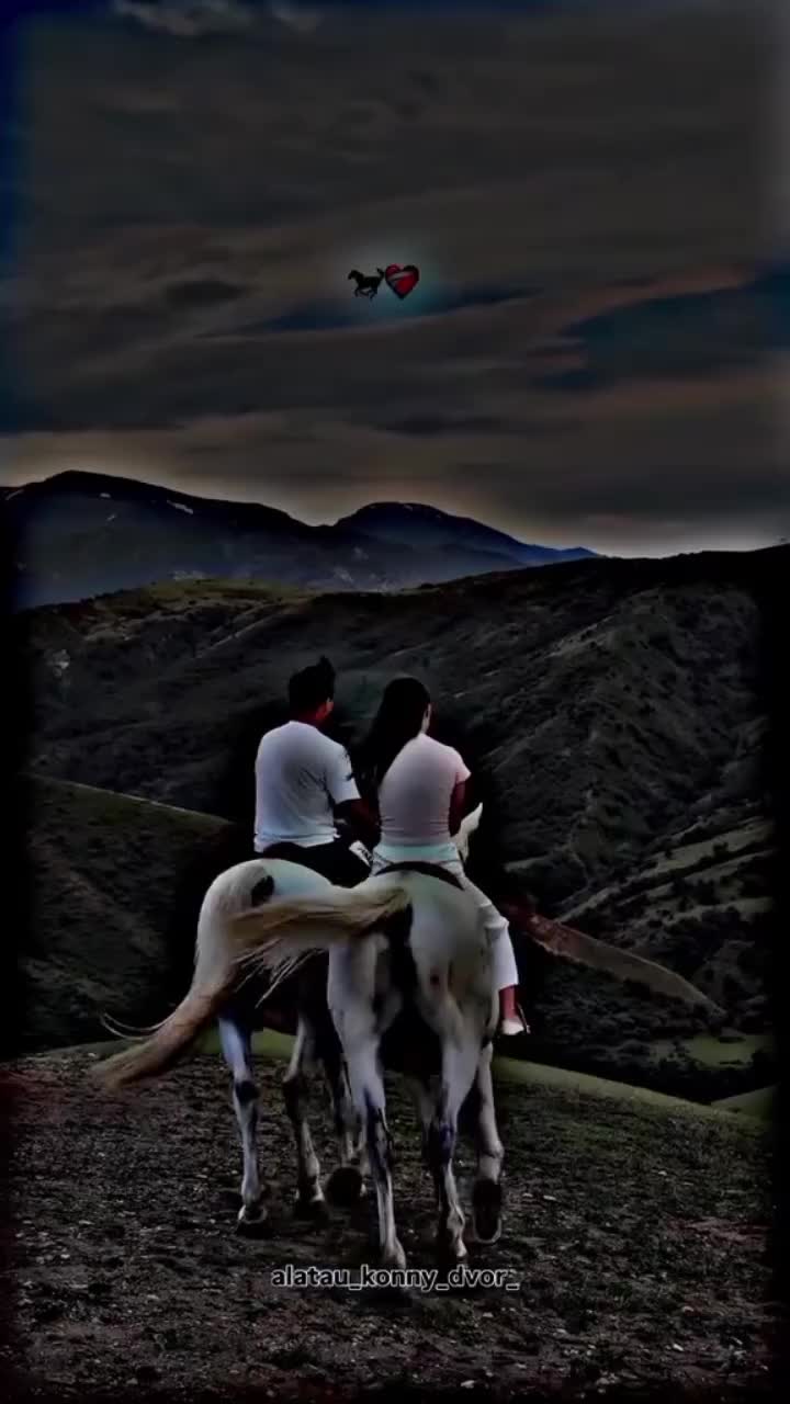 @⫸𝙈𝙞𝙍𝙯𝘼✫𝙎𝙖𝙍𝙆𝙖𝙍✫⫷