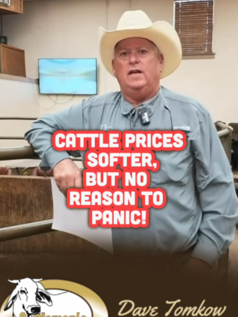 @Cattlemen’s Livestock Market