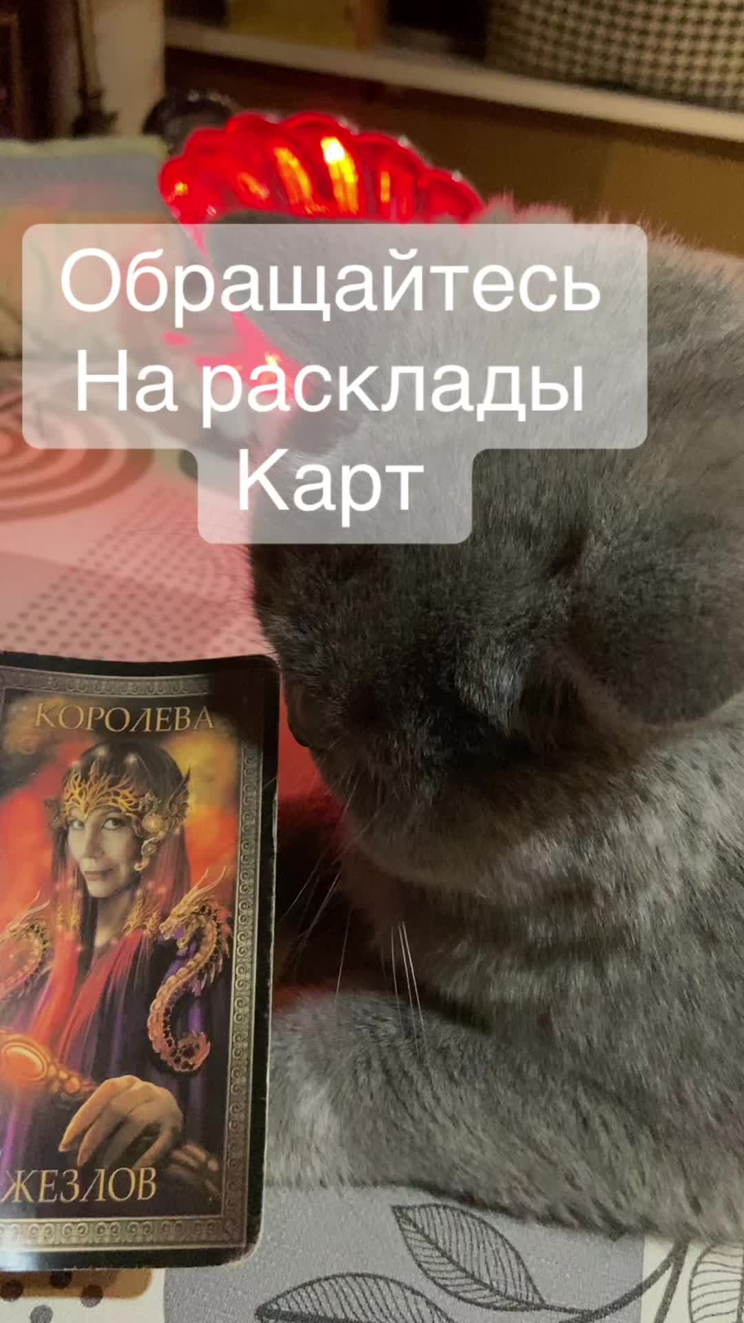 @ВИКУСЯ ЯСНОВИДЯЩАЯ