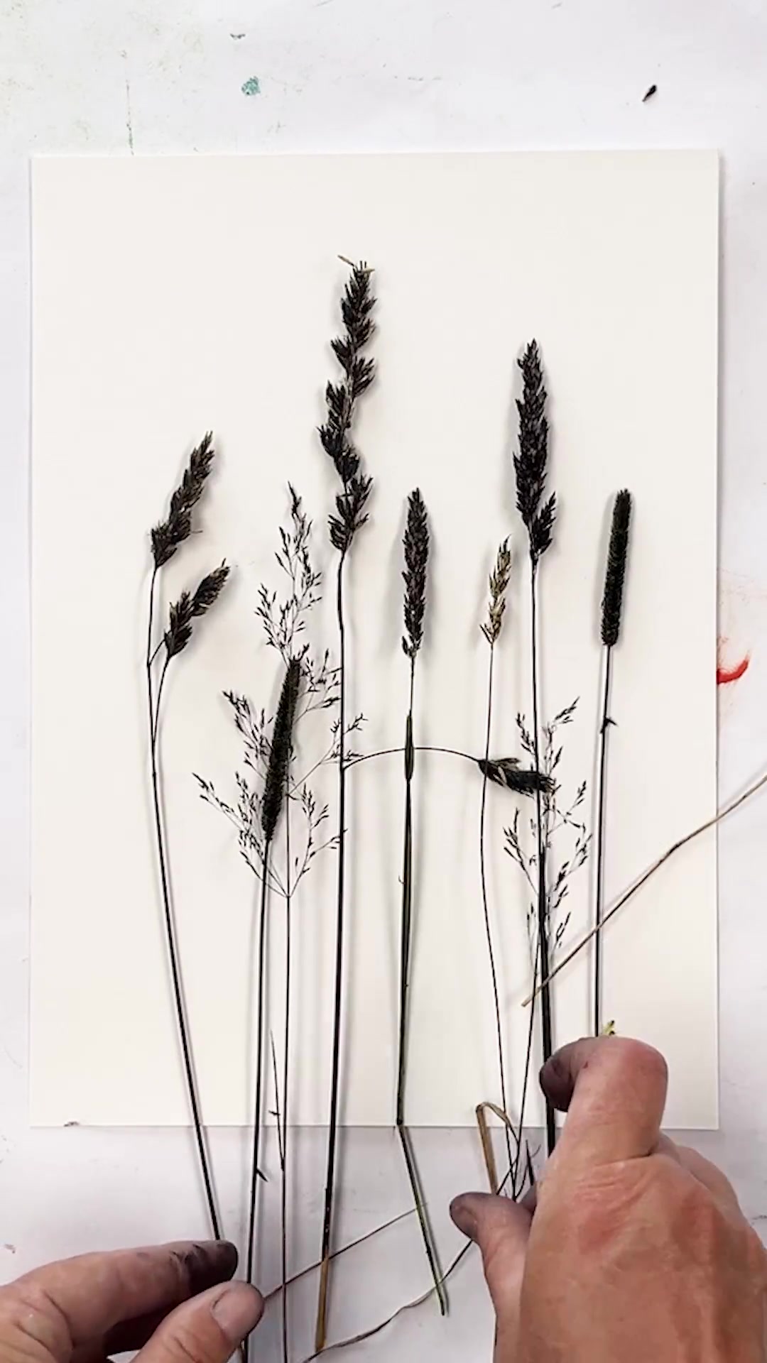 @Impressions of Nature