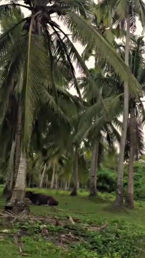 @luisarienda10