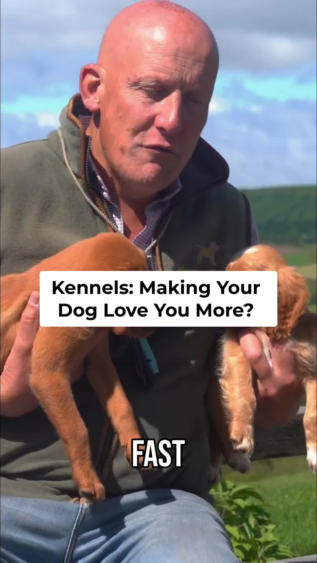 @Mordor Gundogs