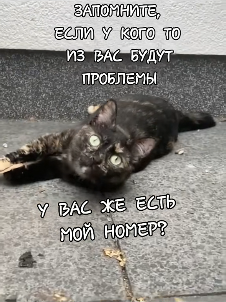 @GlaMurka🐈
