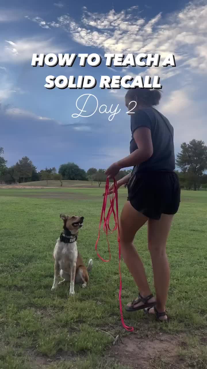 @Marissa | K9 Fitness Coach 🐾