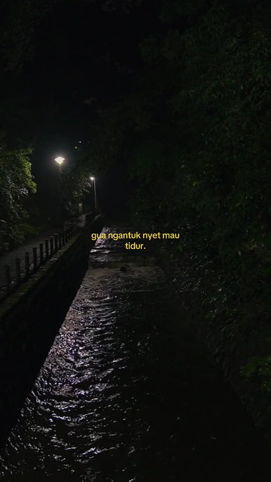 @GALAU;) Arieff