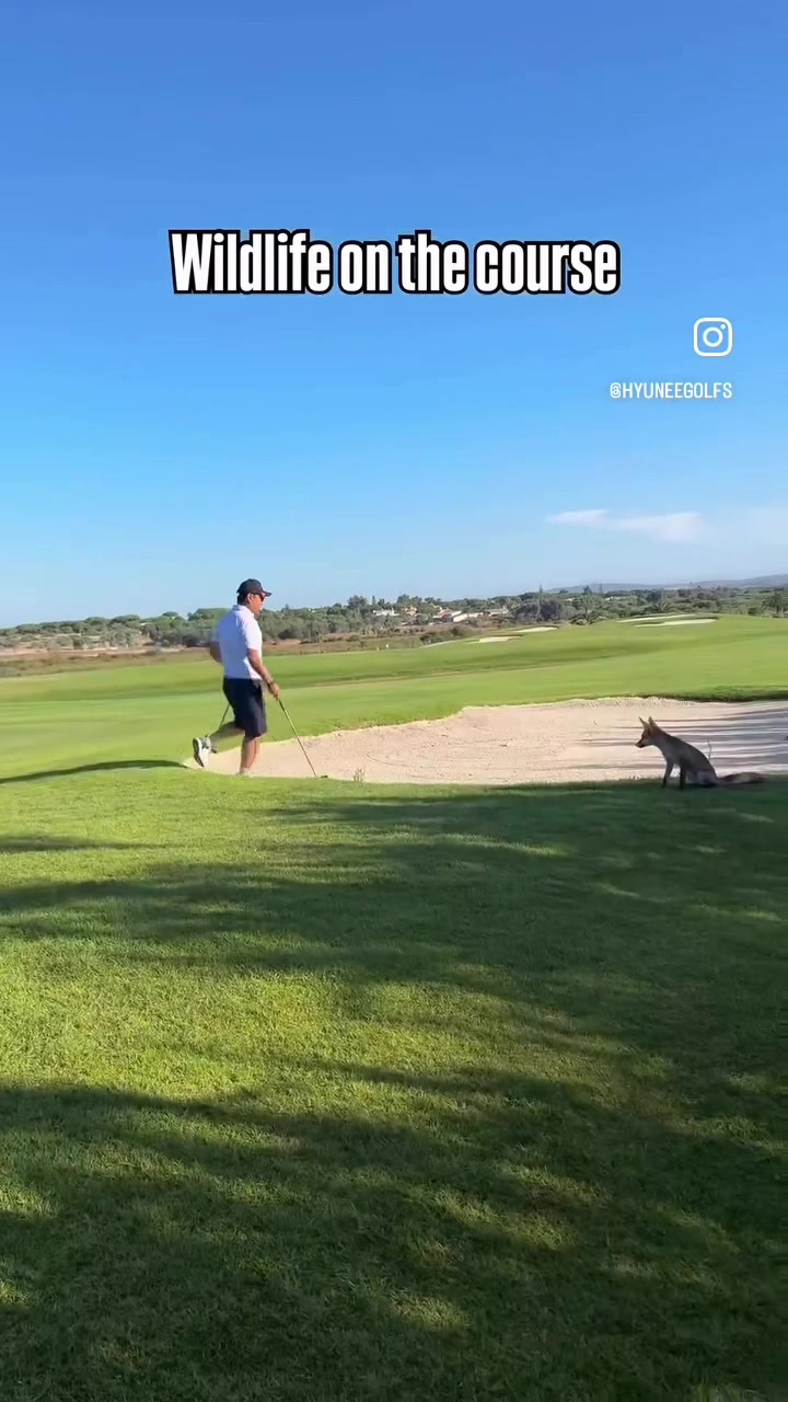@hyuneeGolfs