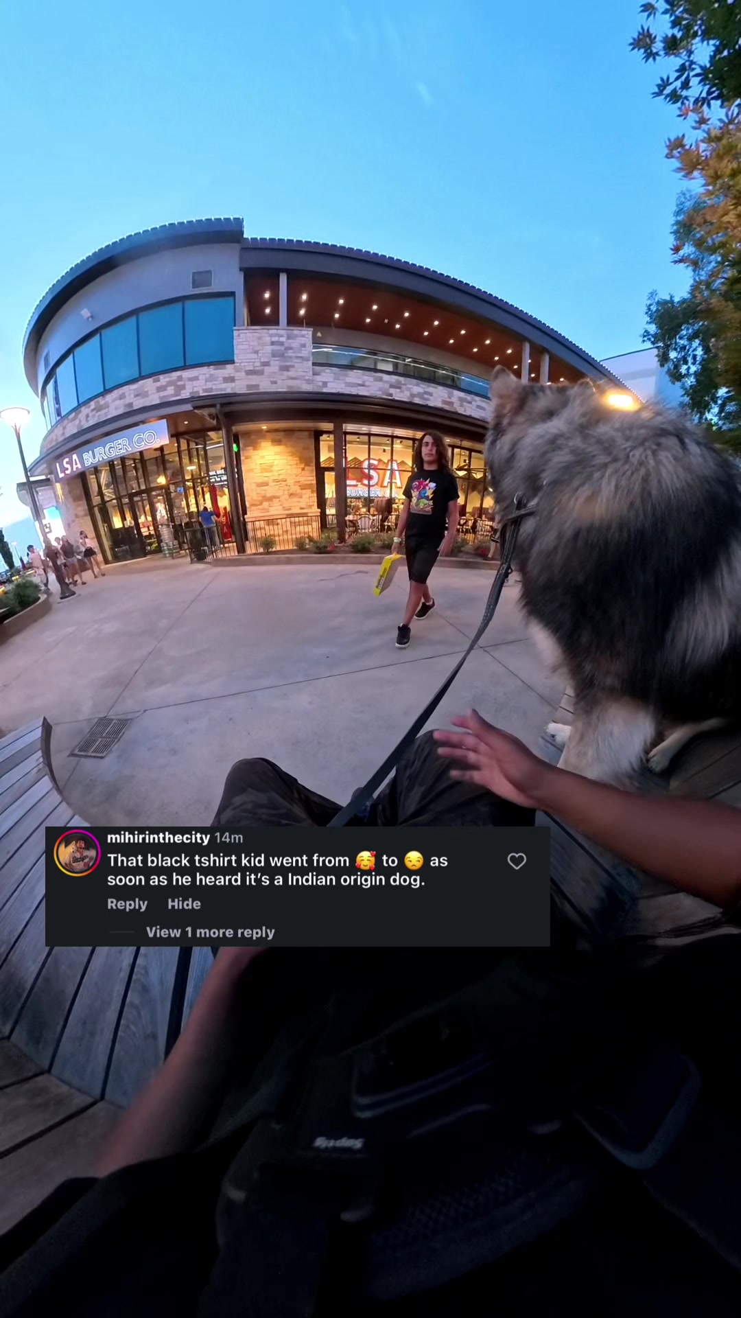 @Neko, Tokahli and Bear