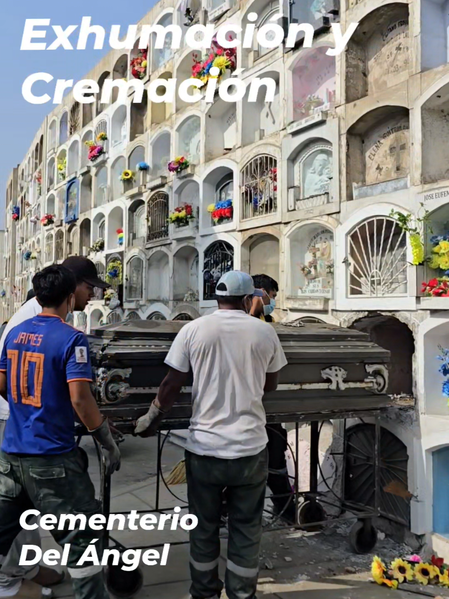 @Vida Perpetua Perú