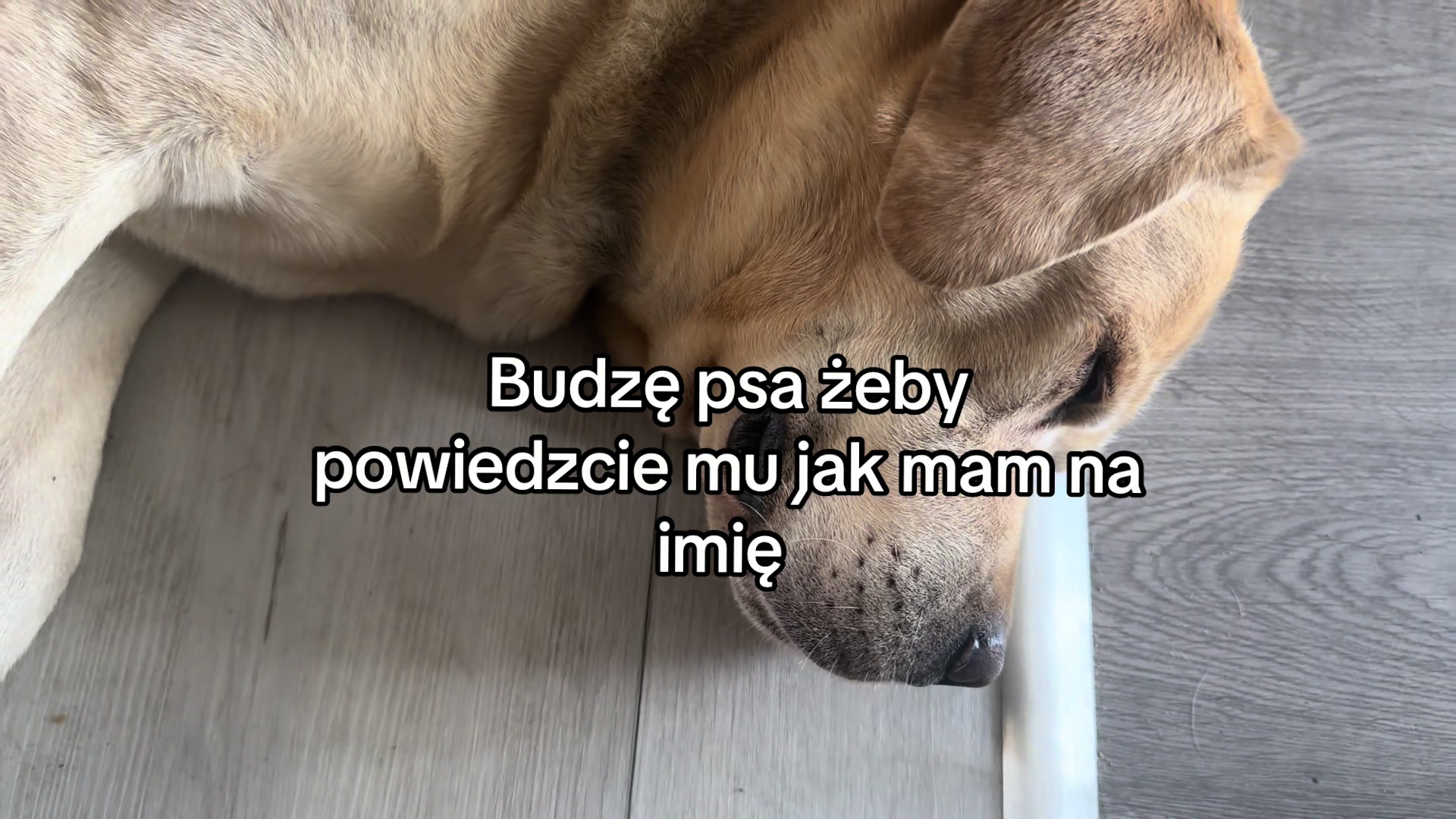 @piotrovska001
