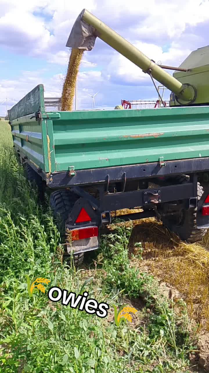 @🌾Michał🌾