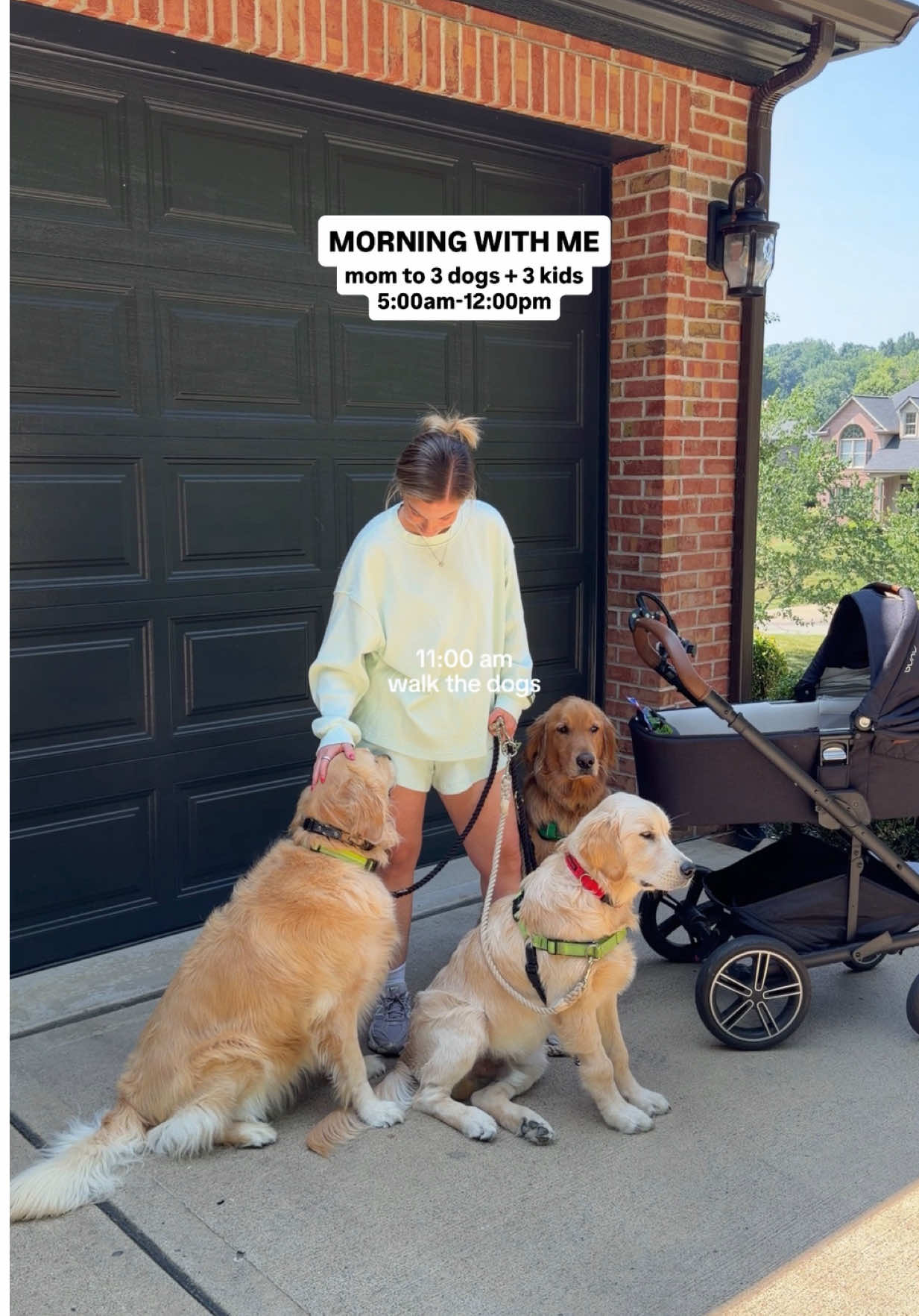 @agoldendogmom