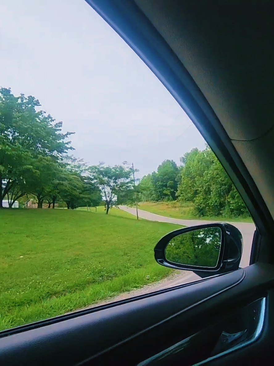 @Forte 🌳🌲🌴 ⛰️