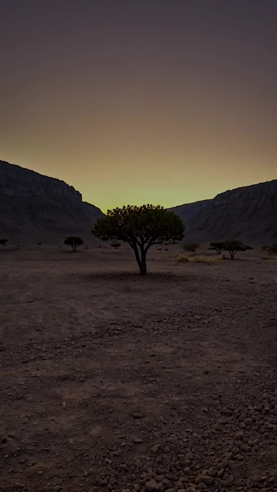 @jebelhafitdesertpark