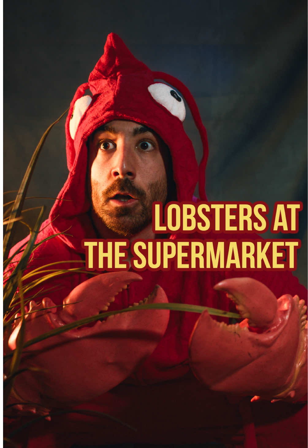 @Sea Shelves Productions
