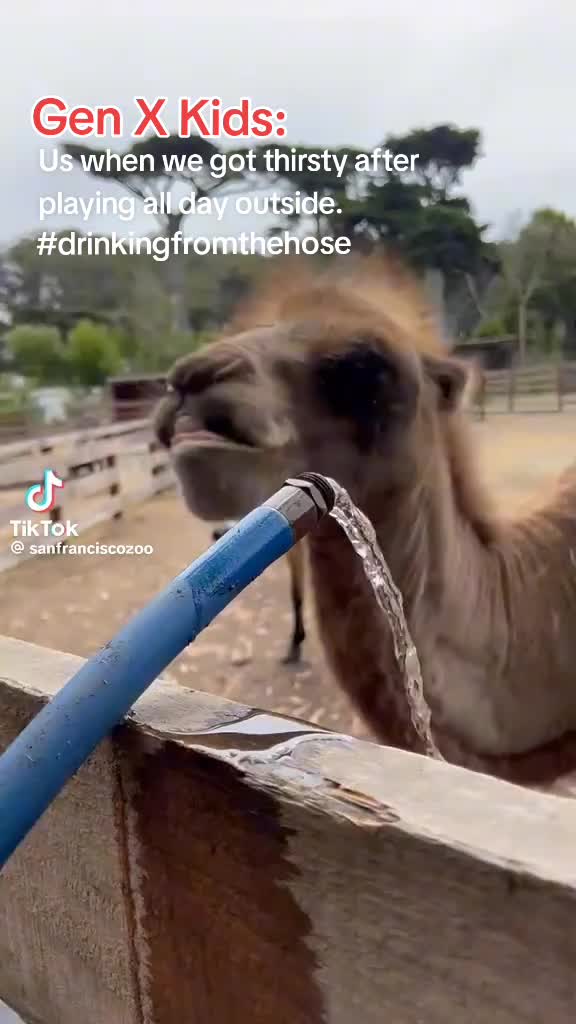 @TinaMack
