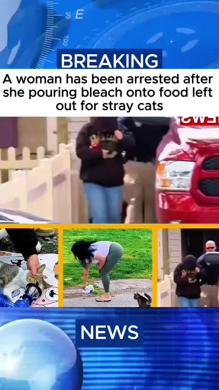 @uaychqfca3
