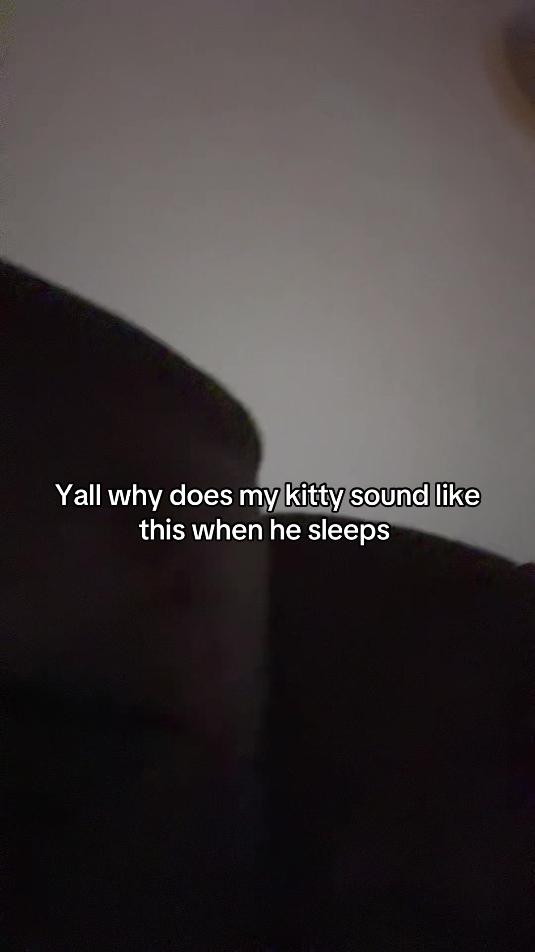 @katie00o