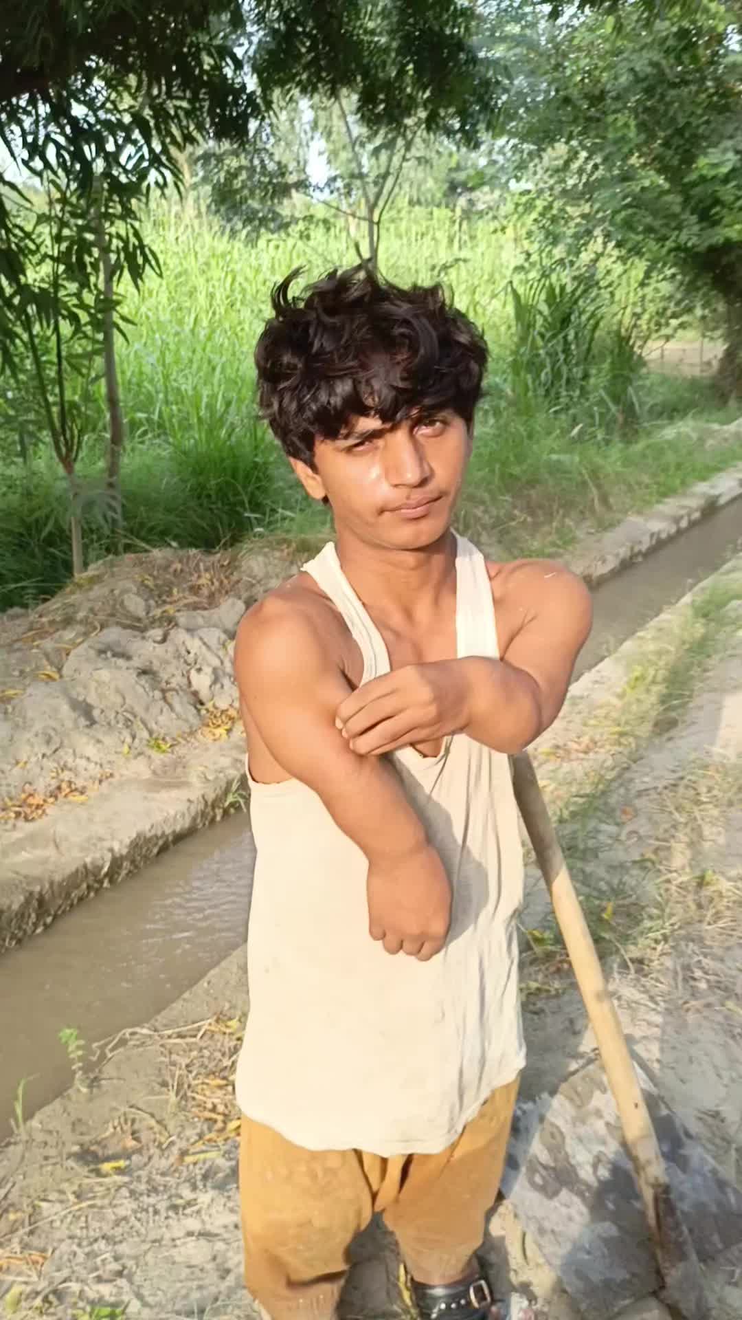 @گُڈو بادشاہ