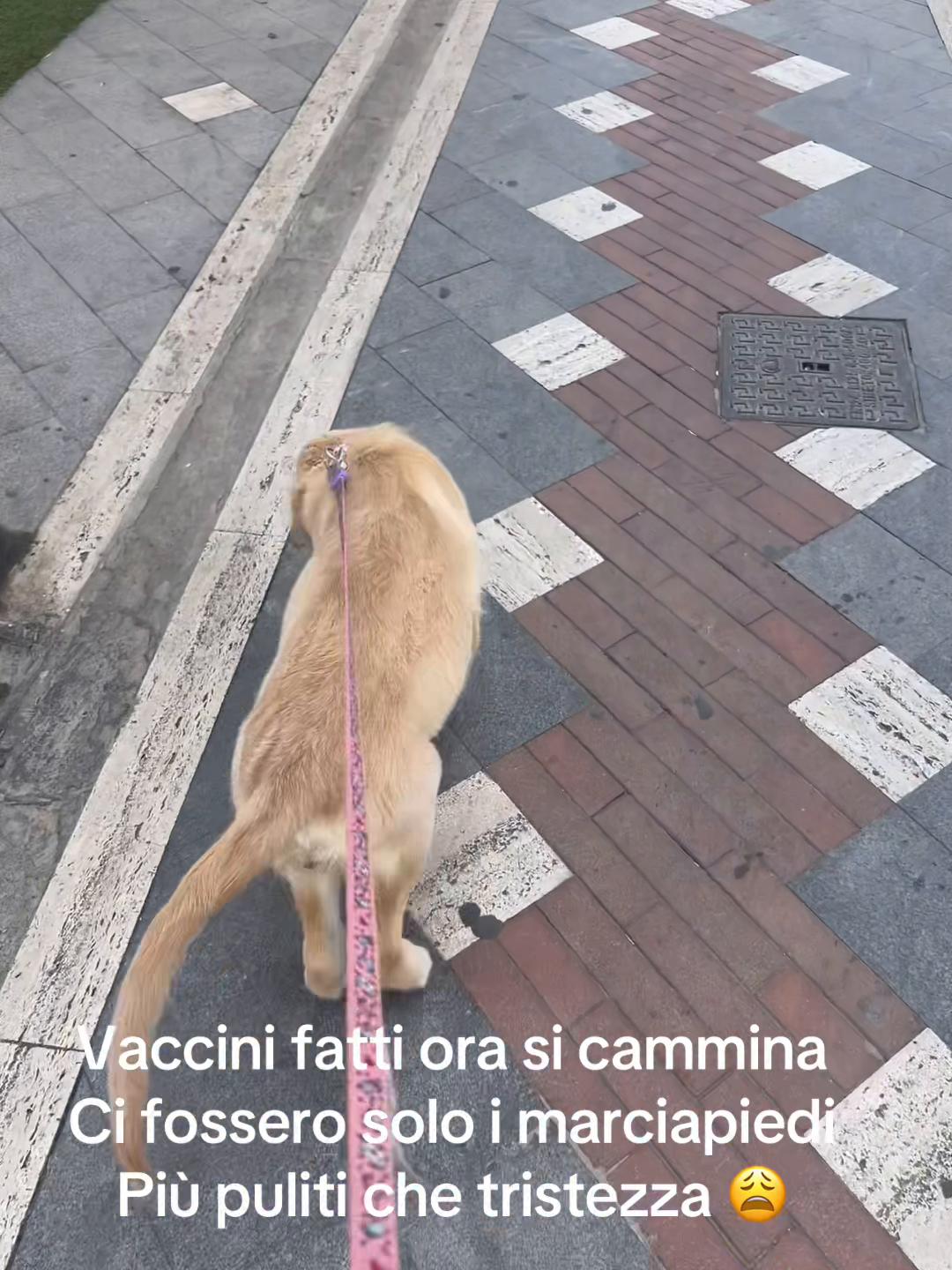@Biscotto 🩵 Hermès