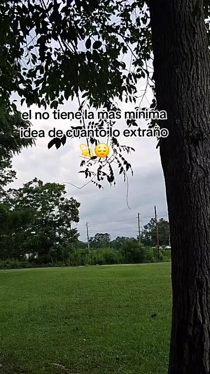 @luna hernadez