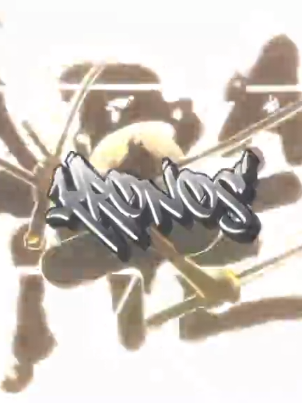 @𝐊𝐫𝐨𝐧𝐨𝐬