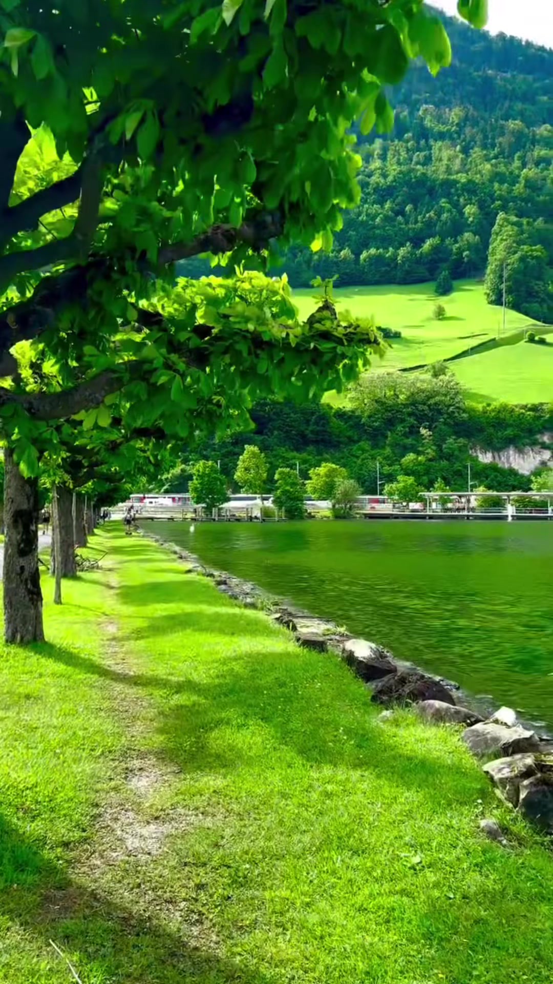 @Laxman bhusal ЁЯЗ│ЁЯЗ╡тЭгя╕П