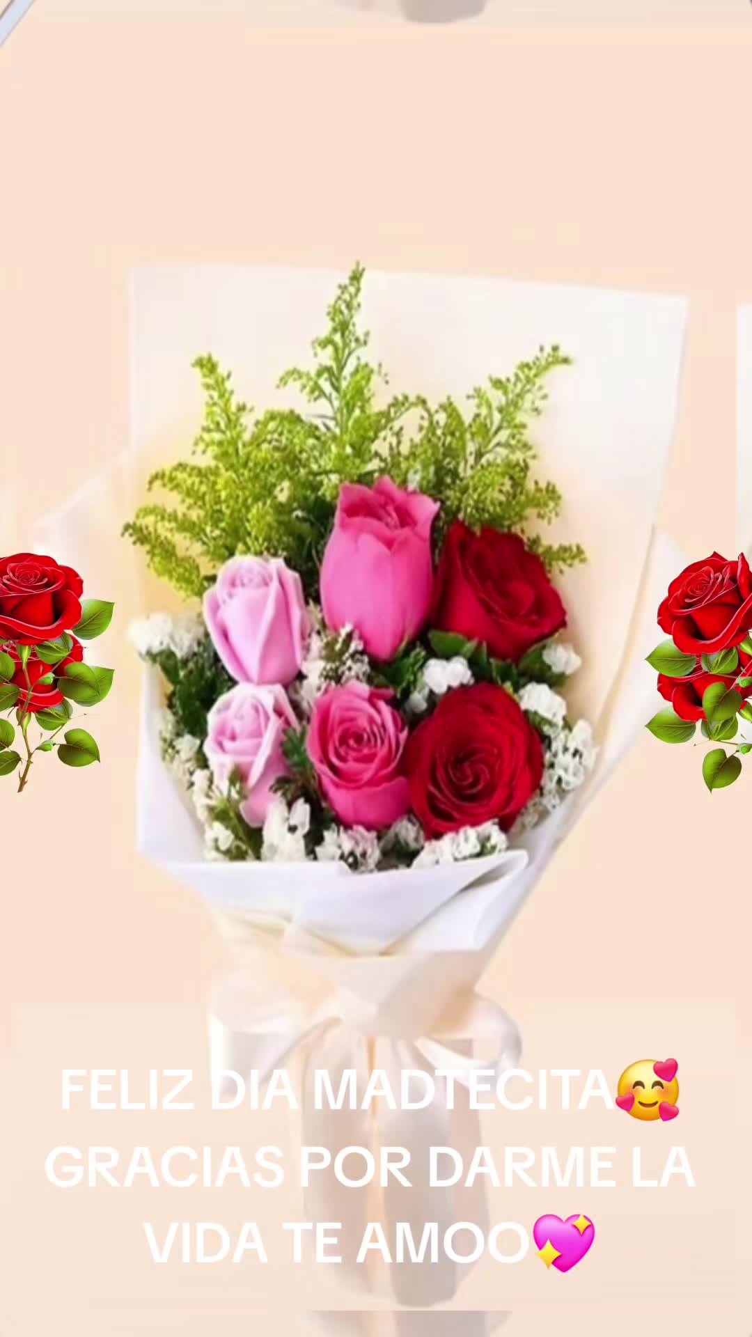 @Carmen Diaz5575