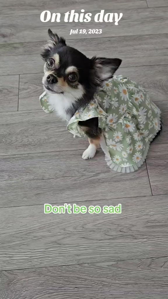 @Pawsha