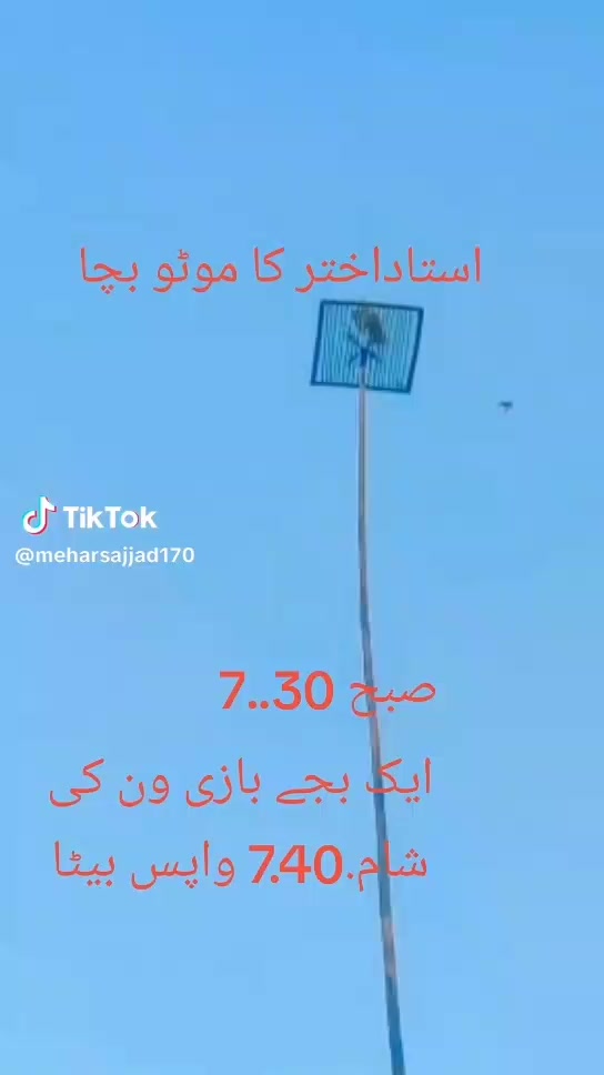 @Gulzar 🇸🇦