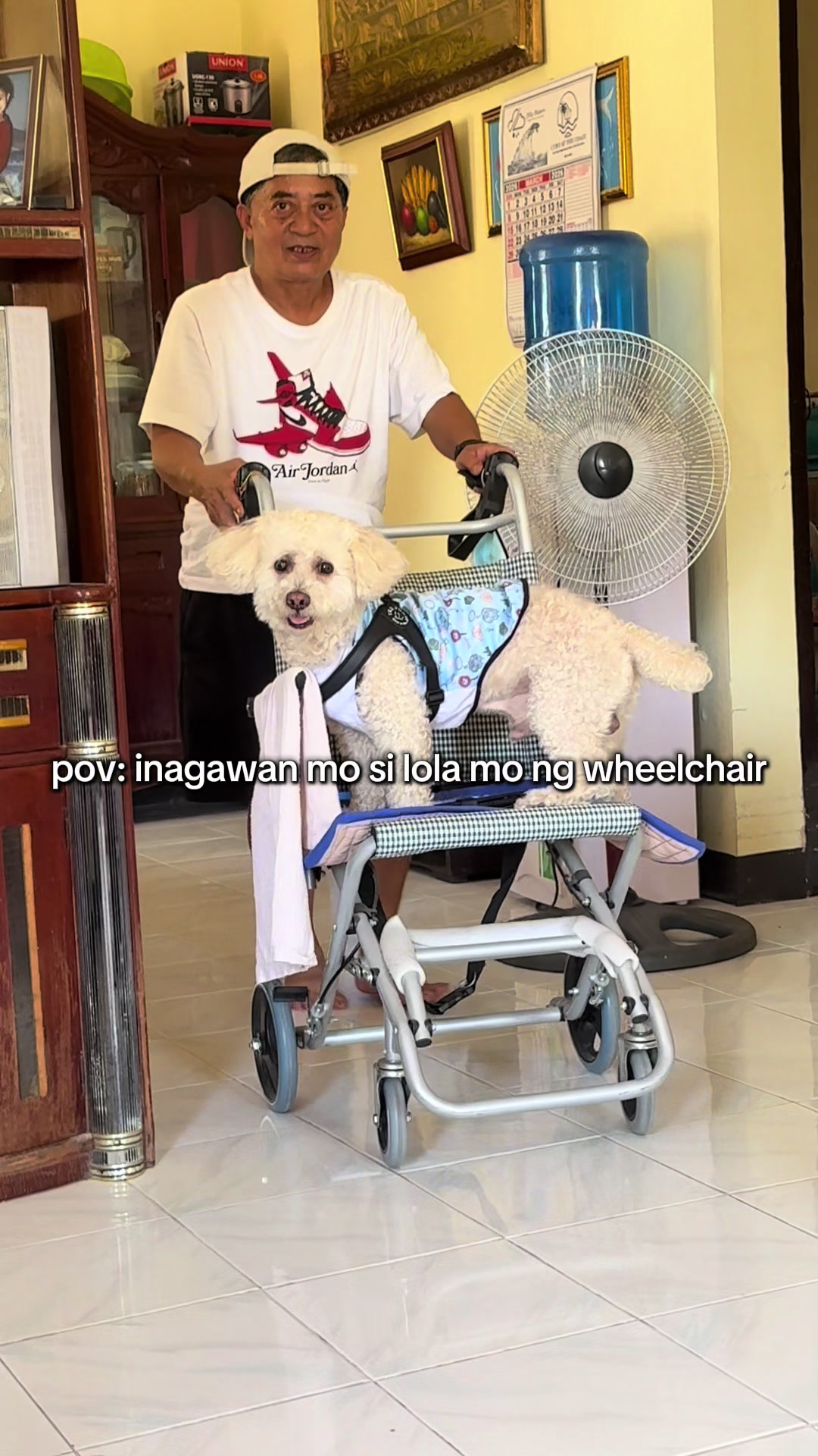 @Coco the poodle