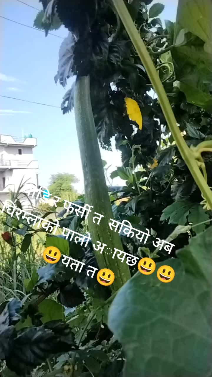 @Rita bhandari