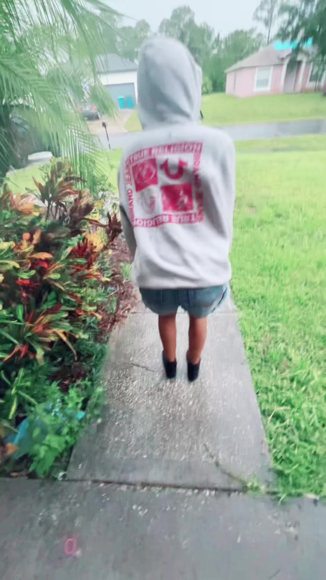 @genesiss