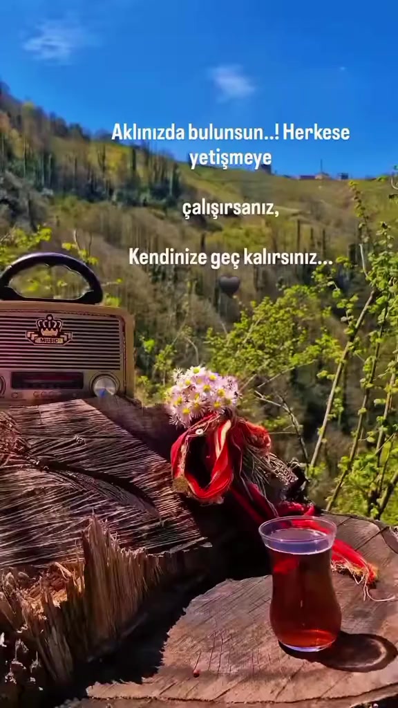 @08.G&Uuml;LL&Uuml;