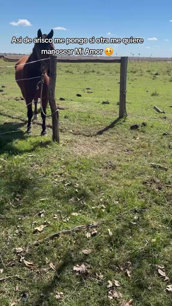 @Ramón_Batalla🫡