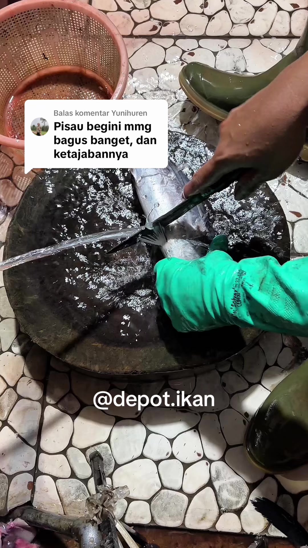 @Depot Ikan