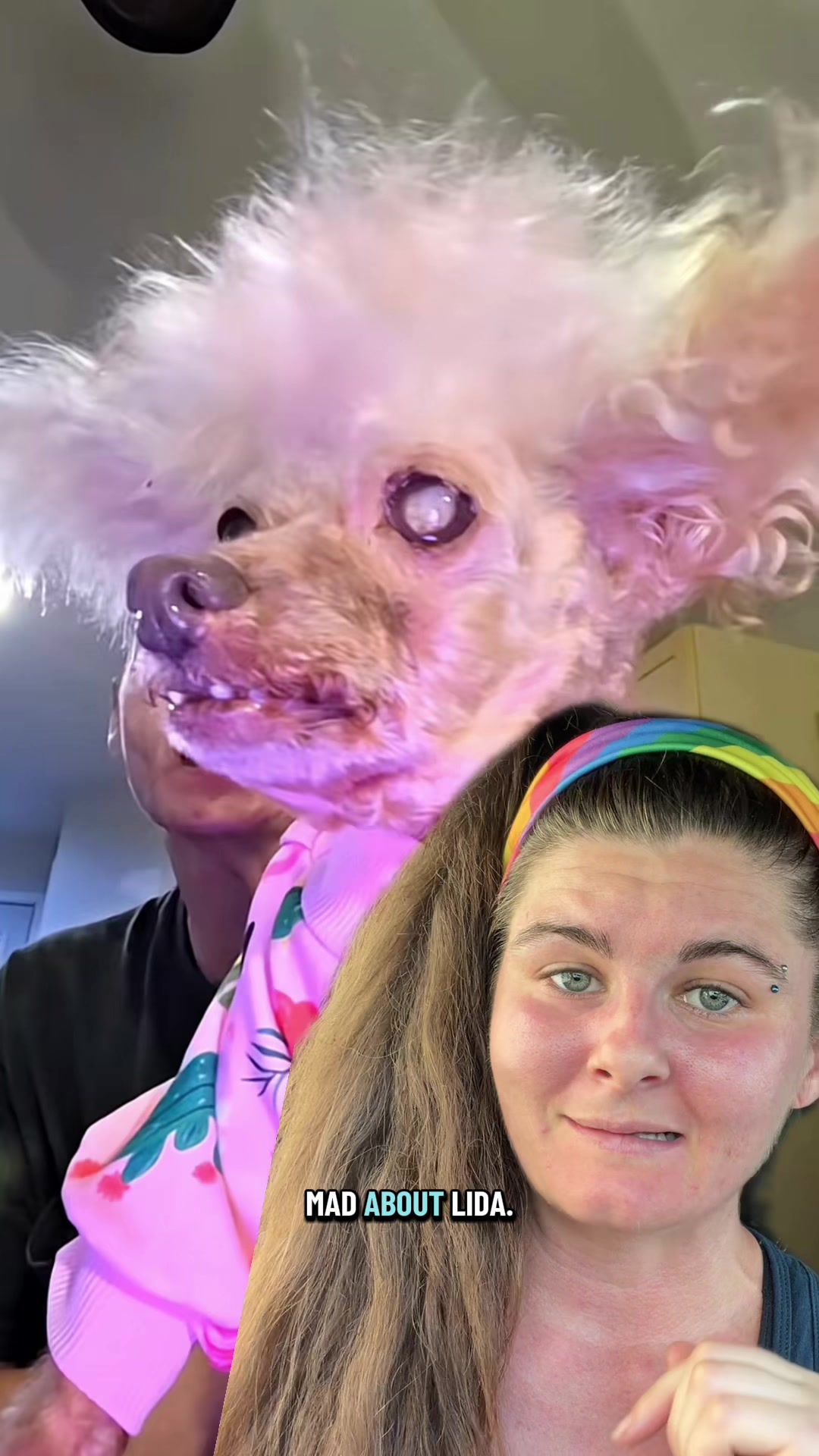 @Jess Shark🐾DOG PACK🐾